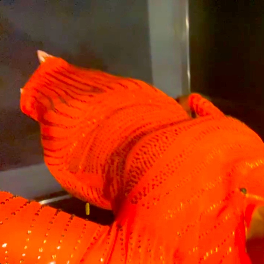 Orange Miracle Embellished Maxi Dress.